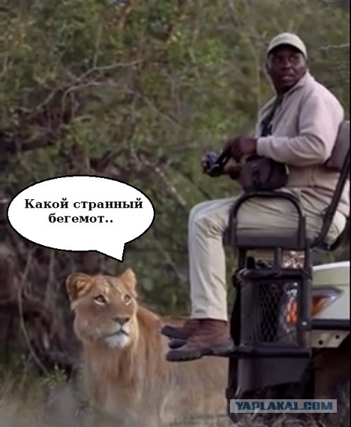 Здравствуйте
