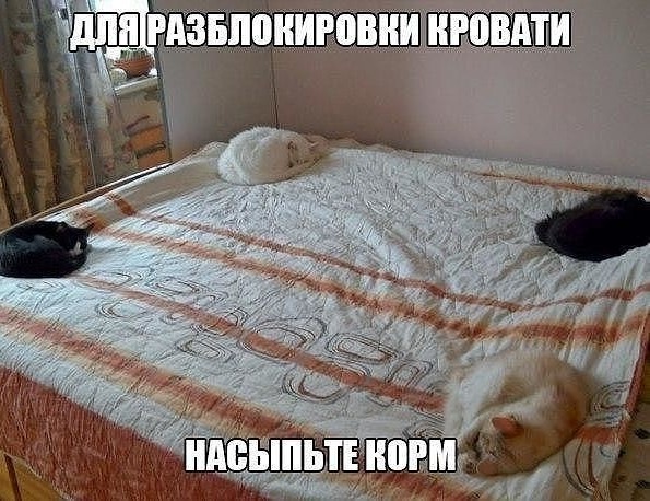 Картинки и надписи всякие на злобу дня и на доброту (05.08)