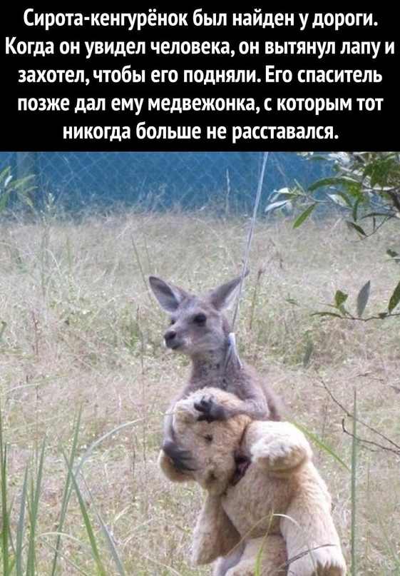 Немного картинок для настроения - 131