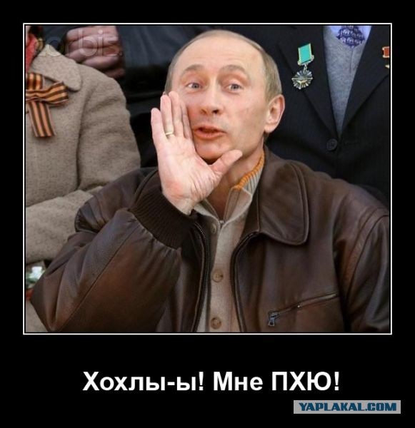 В Карпатах аномально рано пришла зима.