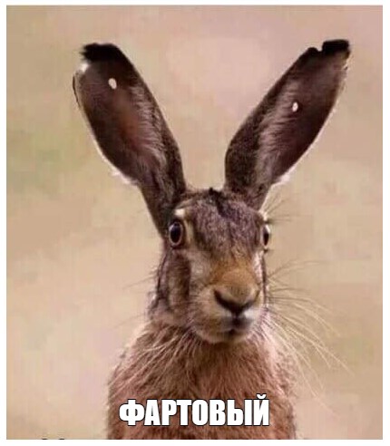 За лотерейным билетом, наверное, побежал