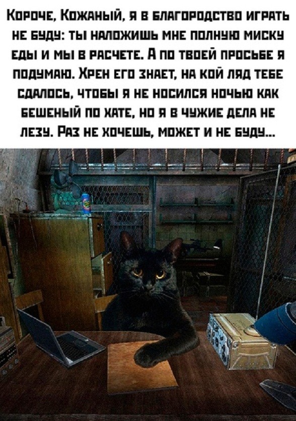 Баянистых и не очень картинок