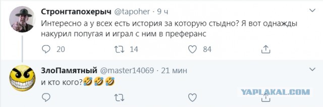 Так себе картинки 22.01.23
