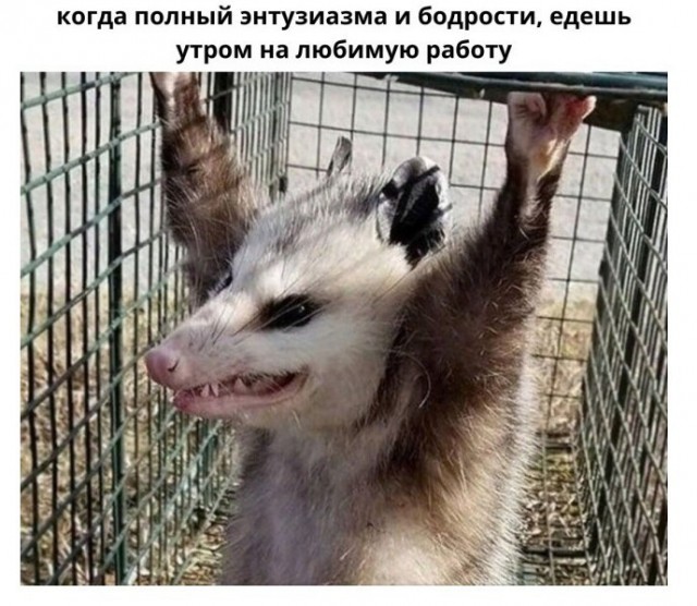Немного картинок для настроения - 127