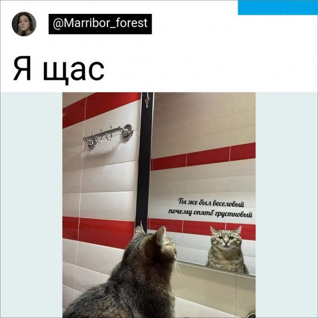 Немного картинок для настроения - 127