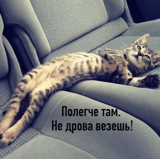 Немного картинок для настроения - 129