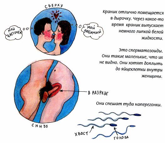 Книга о любви - популярно детям