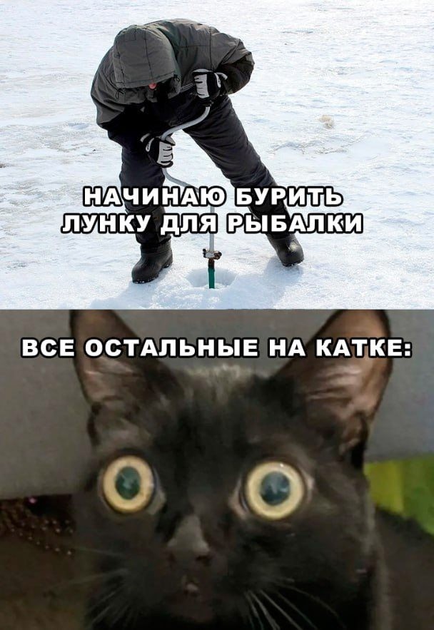 Десять пятничных картинок