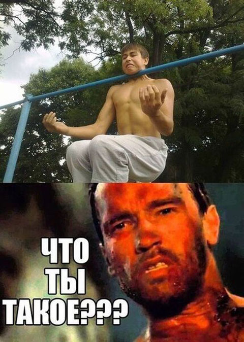 Похмельные боянчики