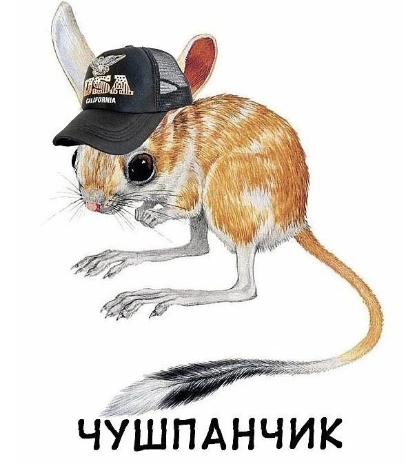 #14 jpg сборник