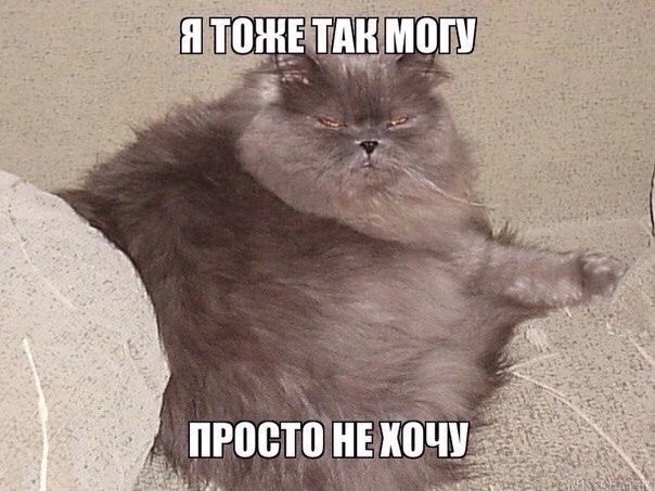 Наконец-то я это сделал