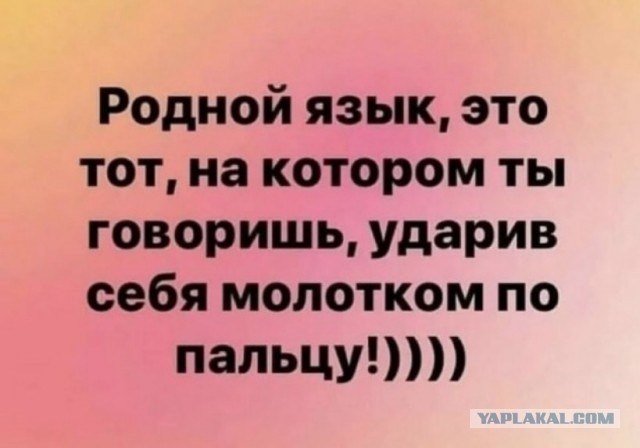 Так себе картинки 15.05.24