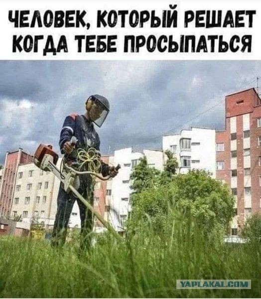 Картинки и буквы 24.06.2024