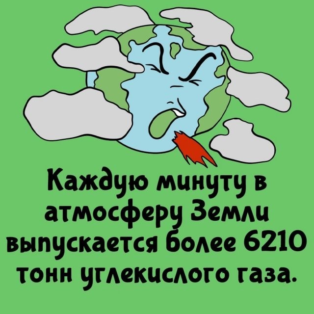 Подборка интересных фактов на все случаи жизни  07.10.24