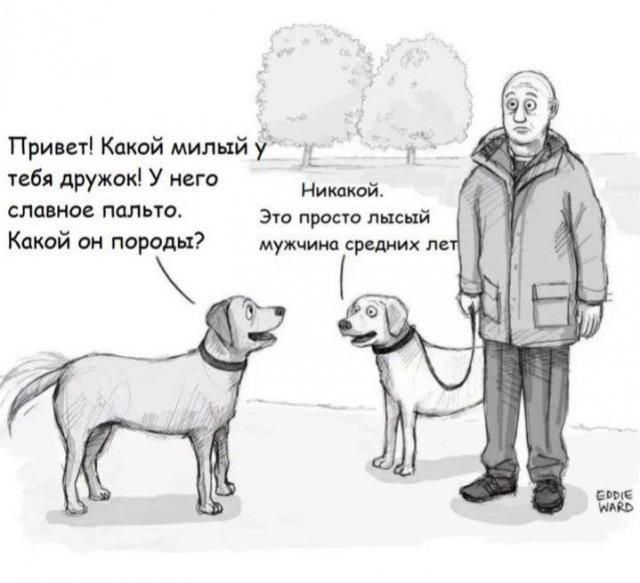 Так себе картинки 03.11.24