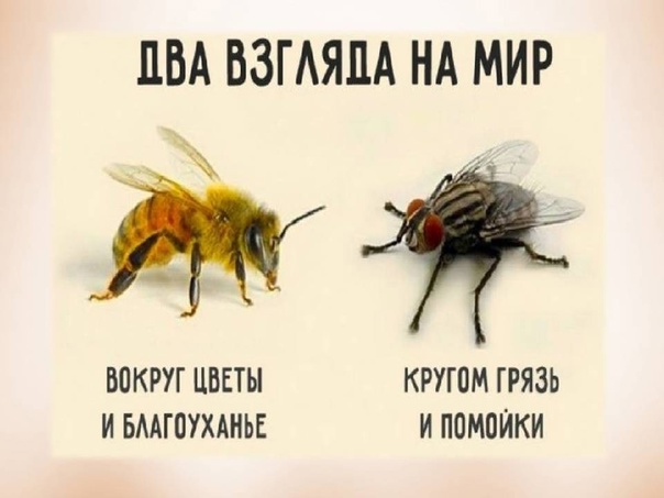 А вокруг вас есть что-то хорошее?