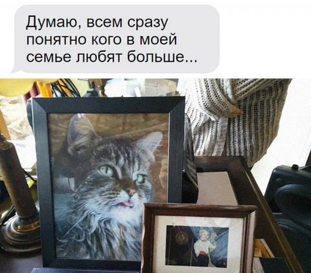 Подборка мемчиков за пол дня