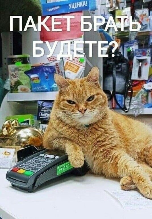 Так себе картинки 13.09.25