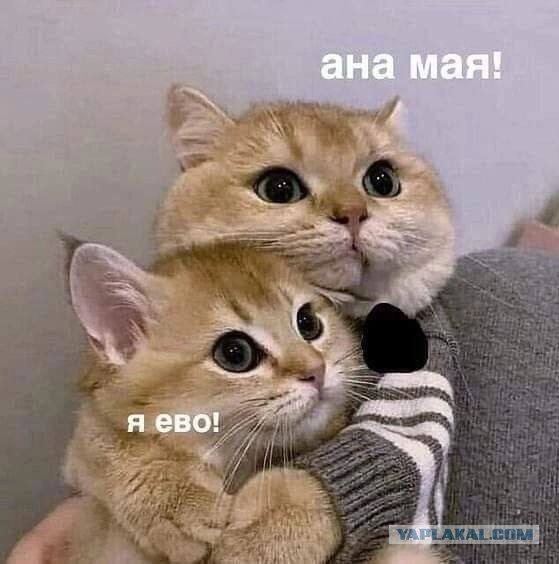 Помогите найти фотку))