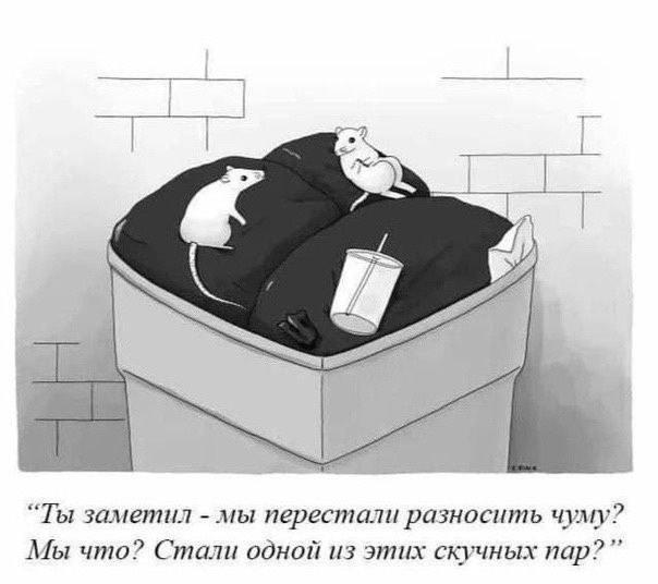 Среда обитания 0.1