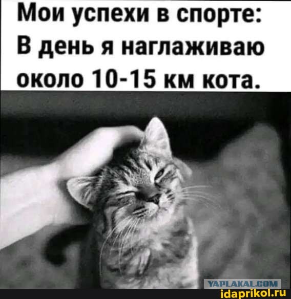 Картинки для деградации 86 (разной степени свежести)
