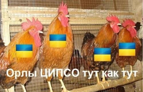 Атака БПЛА на Новороссийск