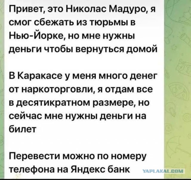 В Курске женщина стала жертвой интернет-мошенника