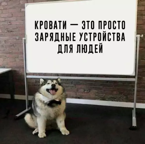 Картиночки, баянчики 13 февраля
