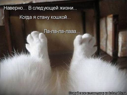 Шоу Джимми Дора