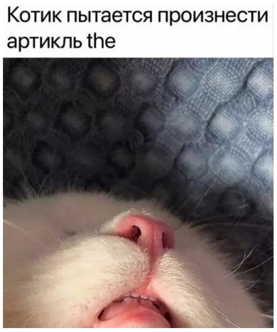 Картинки для деградации 210 (разной степени свежести)