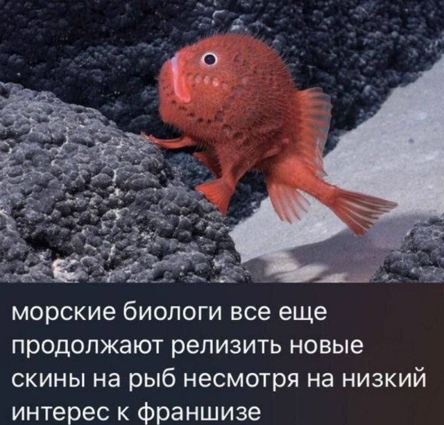 Веселое настроение в картинках 16.08.26