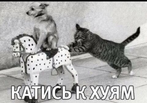 Последний пост на ЯПЛАКАЛ
