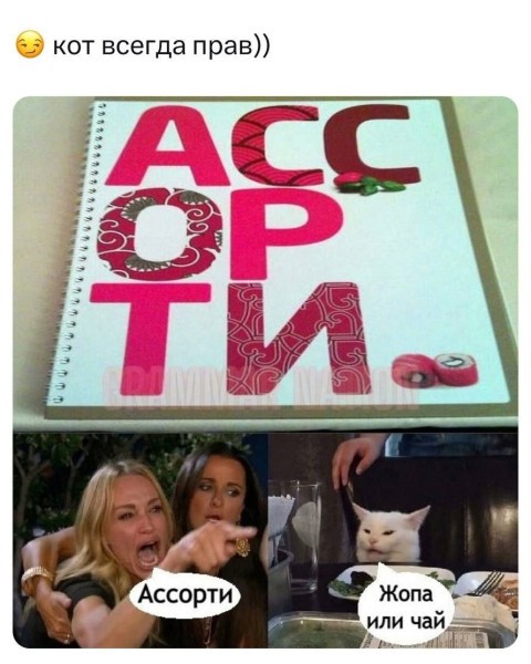 Картинки для деградации 290 (разной степени свежести)