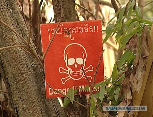 Зимовка в Камбодже