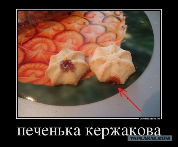 Спорт с улыбкой, интересности в сети