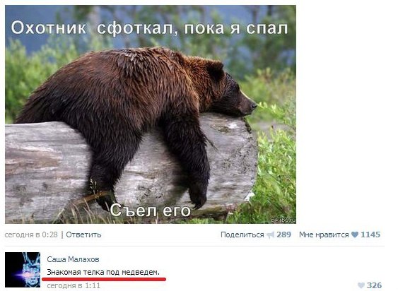 Смешные комментарии из социальных сетей