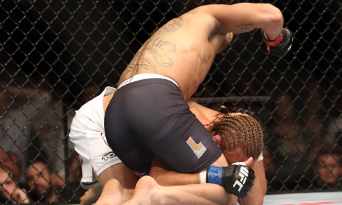 БОКС/MMA....
