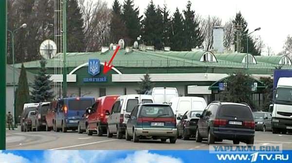 Вот и вся война,