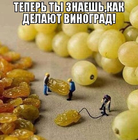 Капля позитива