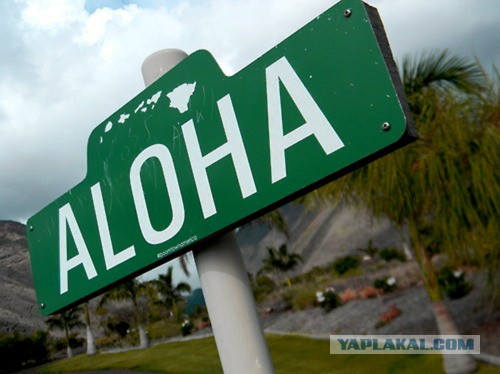 Санкт-Петербург - земля Аллаха!(с)