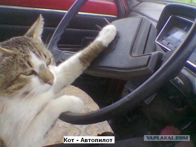 Остановилась фура под окном...