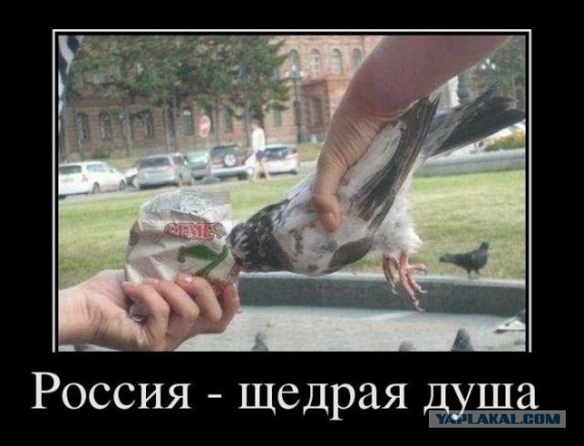 Веселые картинки.