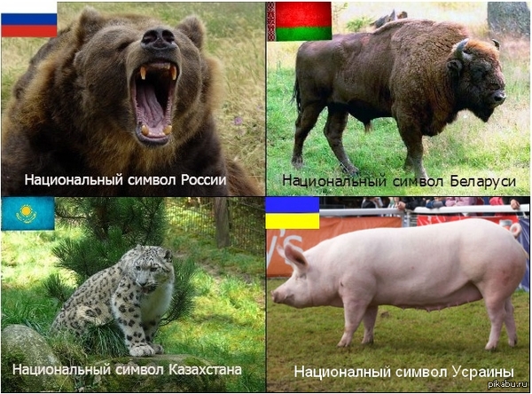 Почему на украинских деньгах — не украинцы!?