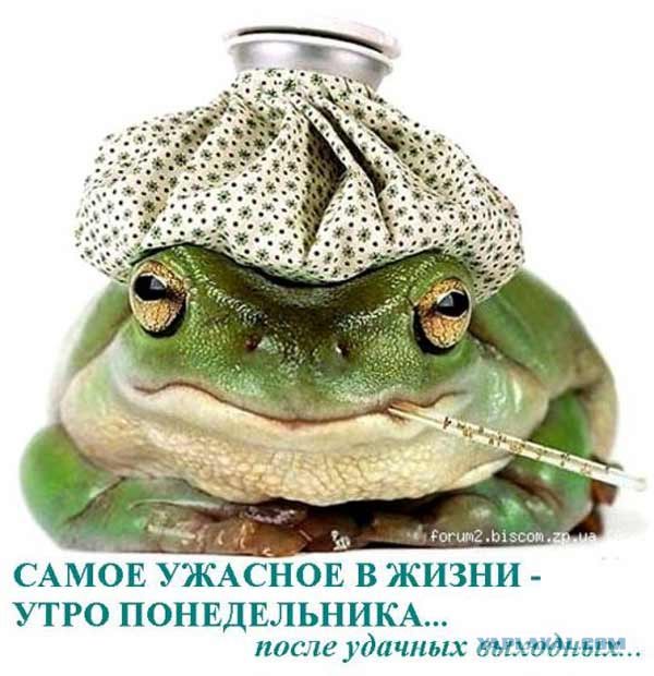 Игра слов