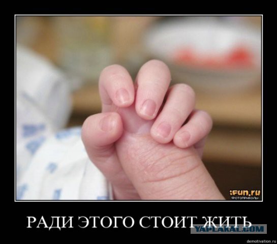 Давно демотиваторов не было