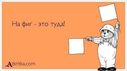 Мусульмане просят Путина