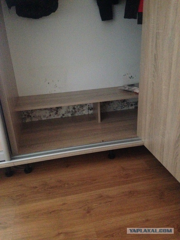 Всё расцветает (15фото)