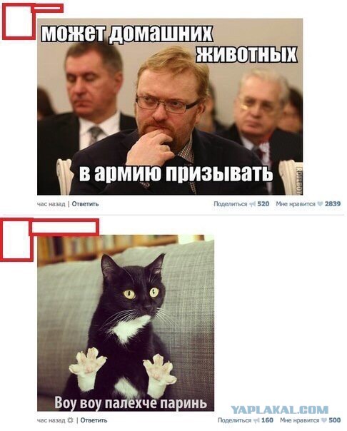 Забавные картинки из сети