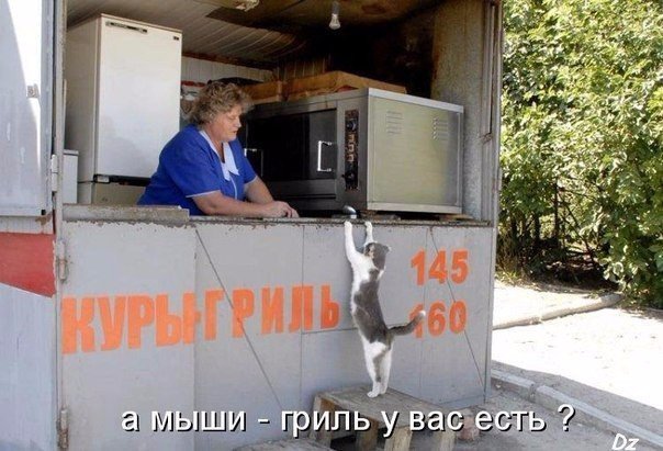 Веселости которые встретились сегодня