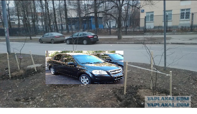 Мой метод борьбы с парковкой на газоне